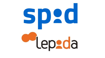 Spid lepida